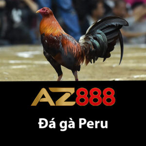 Đá gà Peru